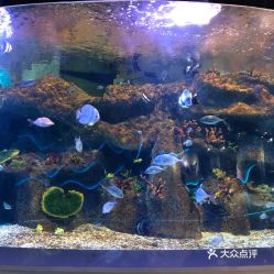 電話 地址 價格 營業(yè)時間 小店區(qū)動植物園團購 太原周邊游