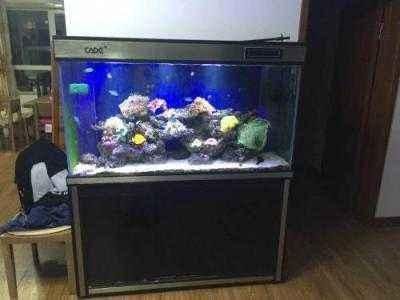 臨泉縣夢景水族館(臨泉縣夢景水族館經(jīng)營產(chǎn)品:魚缸、水族器械、觀賞魚、水族配件零售)