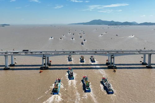 日本斷了我的財路 ,核污染水陰影下百萬中國漁民何去何從