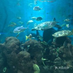 電話,地址,價格,營業(yè)時間 鄭州周邊游