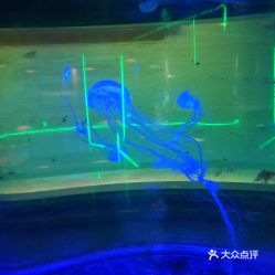 電話,地址,價格,營業(yè)時間 無錫周邊游
