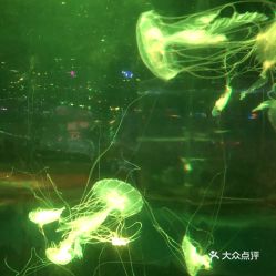 電話,地址,價格,營業(yè)時間 西安周邊游