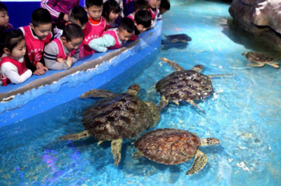 信陽龍都海洋歡樂世界盛況來襲