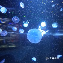 電話,地址,價格,營業(yè)時間 西安周邊游