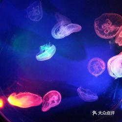 電話,地址,價格,營業(yè)時間 鄭州周邊游