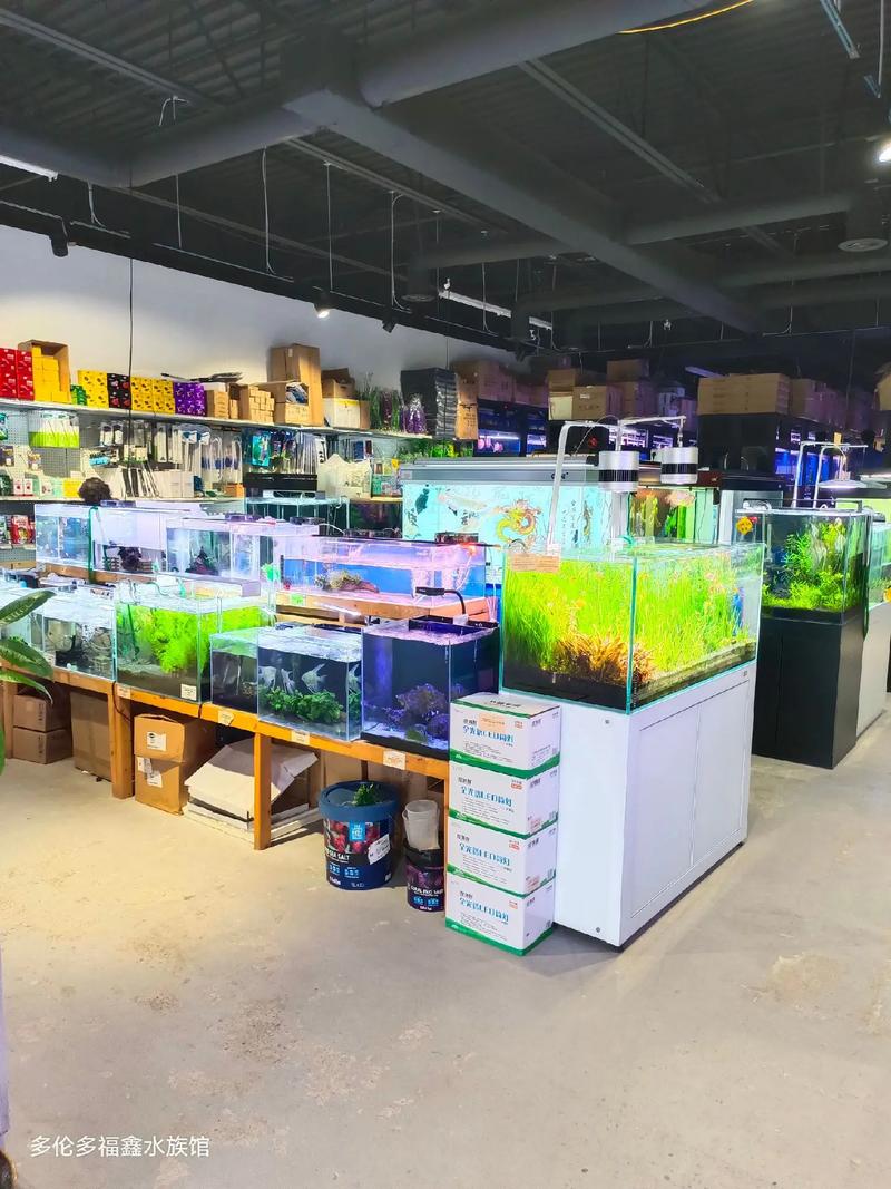 多倫多水族館買魚缸買觀賞魚.本店經(jīng)營各種規(guī)格魚缸和100多種