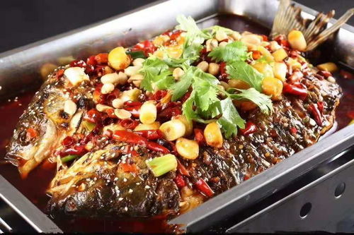 如何打造火爆的烤魚店 匯頭客小份烤魚風(fēng)口已來 餐飲