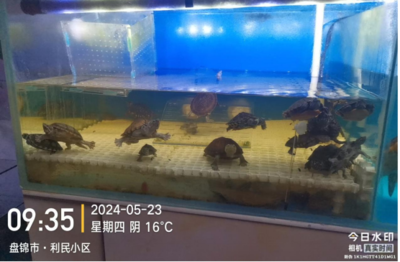 漁政執(zhí)法大隊開展水生野生動物保護專項執(zhí)法檢查
