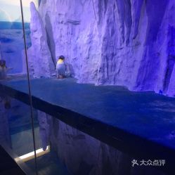電話,地址,價格,營業(yè)時間 三亞周邊游