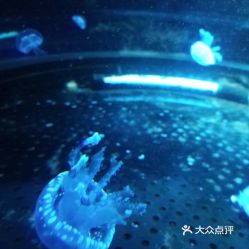 電話,地址,價格,營業(yè)時間 西安周邊游